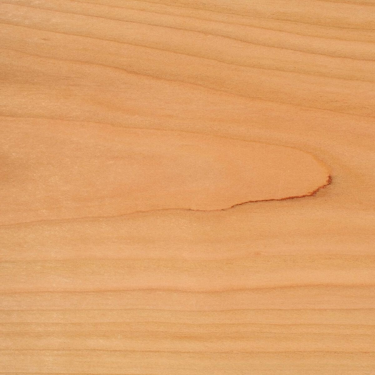 COCCO | Square Table 70 (コーヒーテーブル) | DENTO STORE | 額縁