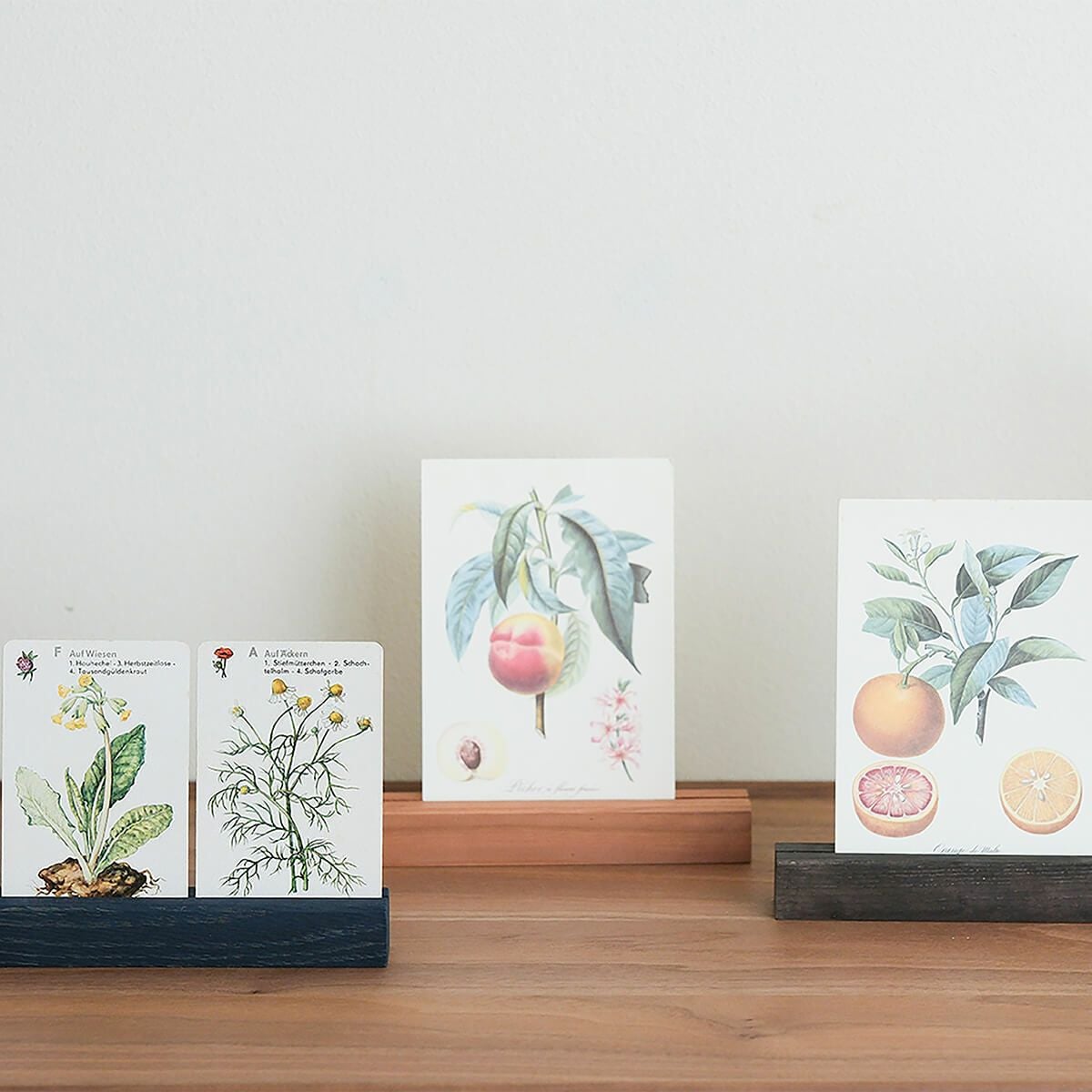 ★写真たて★ポストカード立て★名刺ホルダー★薔薇雑貨 STORE限定】FAVORMADE | Postcard Stand / ポストカードスタンド（染め