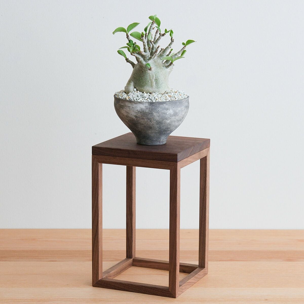 FAVORMADE | Planter Stand L / 三方留プランター・フラワースタンド L