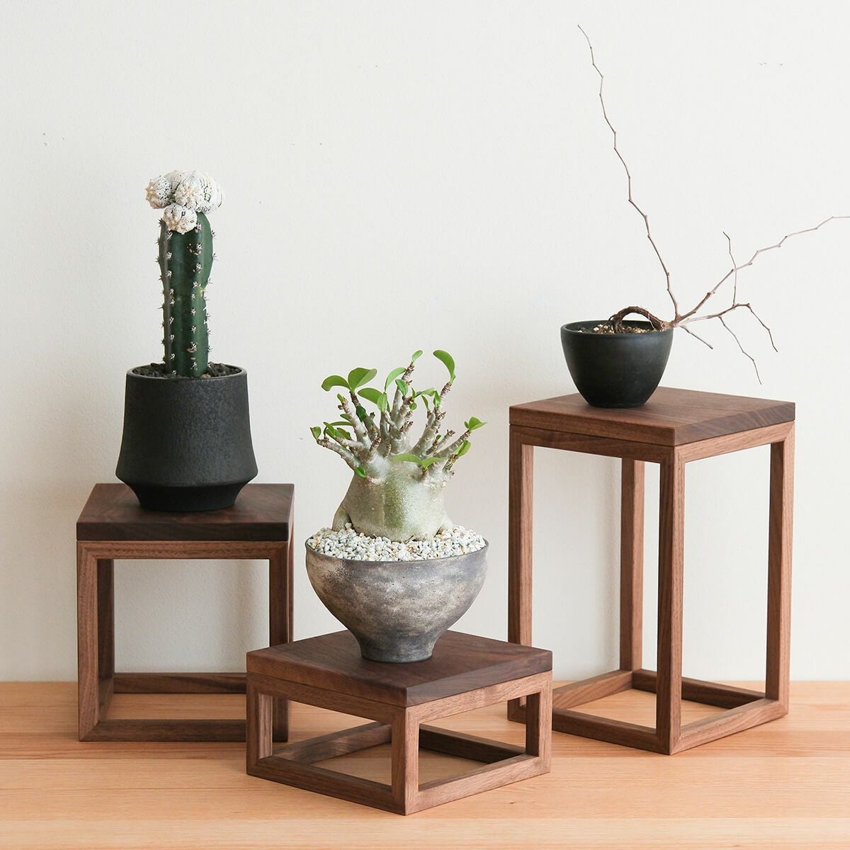 FAVORMADE | Planter Stand L / 三方留プランター・フラワースタンド L