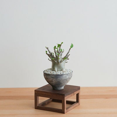 FAVORMADE | Planter Stand S / 三方留プランター・フラワースタンド Sサイズ