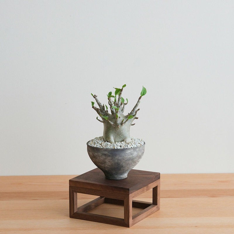 FAVORMADE | Planter Stand S / 三方留プランター・フラワースタンド Sサイズ