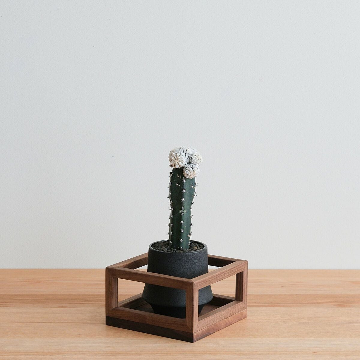 FAVORMADE | Planter Stand S / 三方留プランター・フラワースタンド Sサイズ