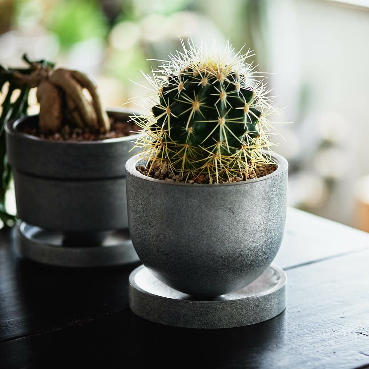 FOUNTAIN/FOUNDRY | PLANTER ”GORDIE” | DENTO STORE | 額縁・家具 FOUNTAIN/FOUNDRY | PLANTER ”GORDIE” | DENTO STORE | 額縁・家具
